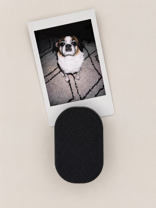 Magnetic Puck